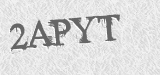 CAPTCHA code