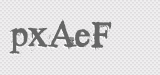 CAPTCHA code