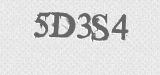 CAPTCHA code
