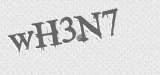 CAPTCHA code