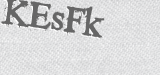 CAPTCHA code