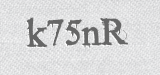 CAPTCHA code